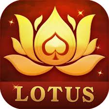 teen patti live 3 patti poker download